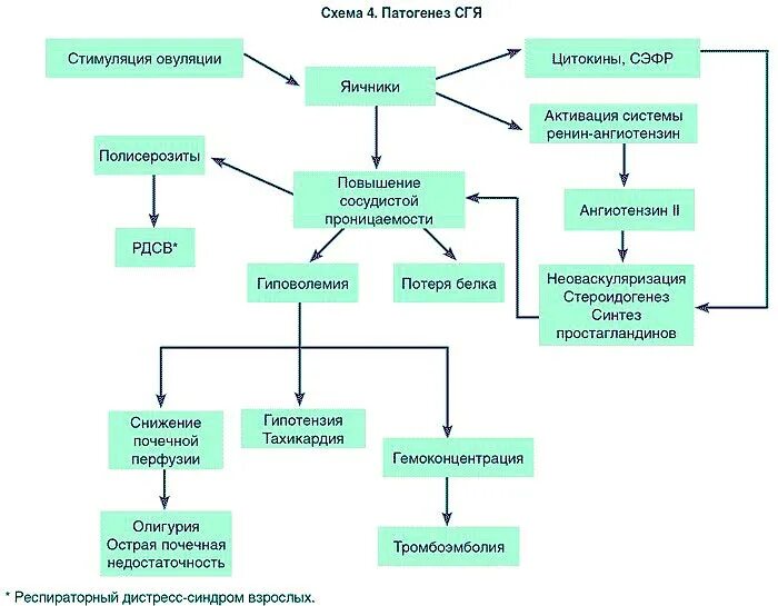 Гиперстимуляция яичников после. Патогенез СПКЯ схема. Синдром гиперстимуляции яичников патогенез. Синдром поликистозных яичников патогенез. Патогенез СГЯ.