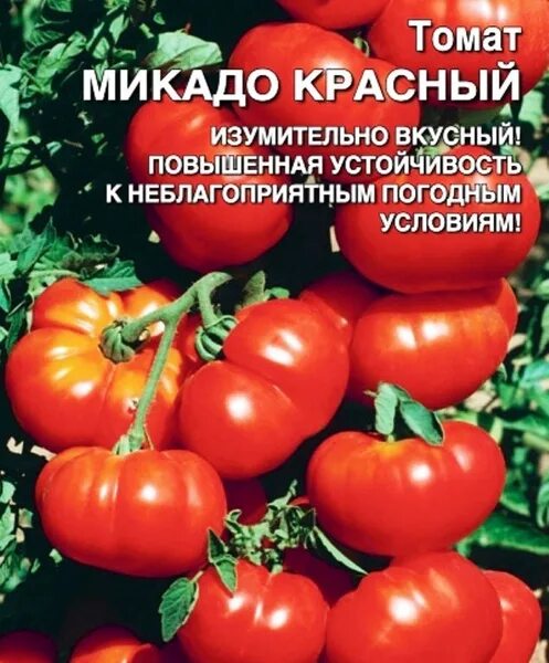 Томаты Elya Garden 005028 - купить по выгодным ценам в интернет-магазине OZON (1