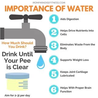 How much water do you drink