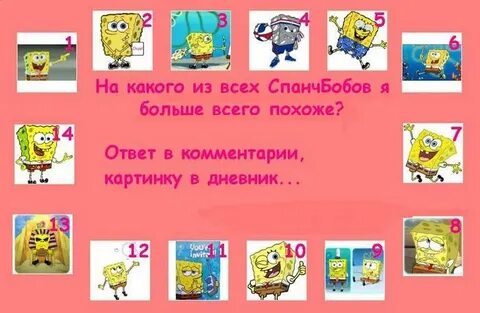 Похожа ответить
