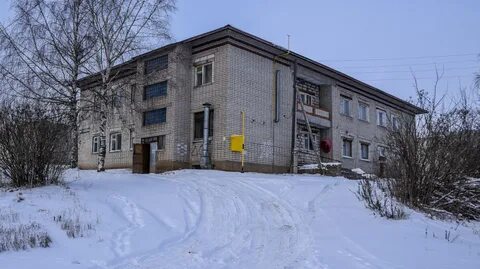 Деревня березники