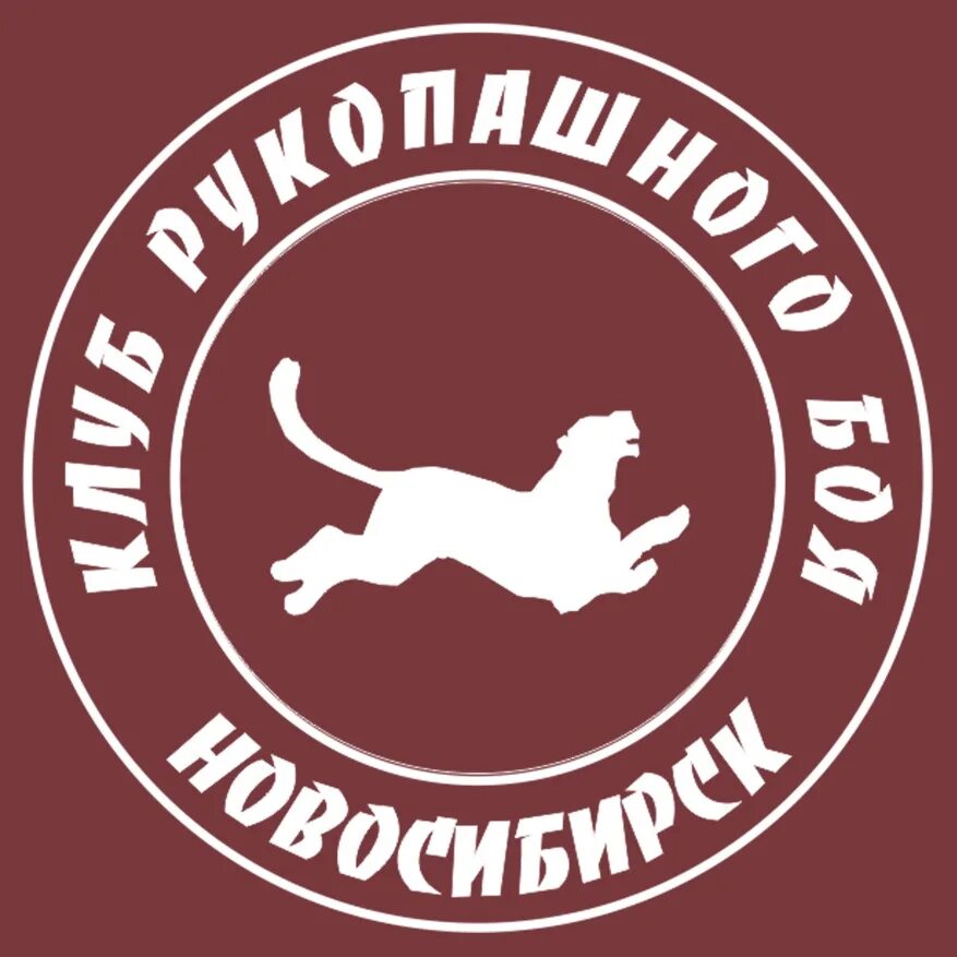 Барс Новосибирск. Барс рукопашный бой Челябинск. Барс клуб рукопашного боя Краснодар. Приглашаем в клуб рукопашного боя. Сайт барс новосибирск