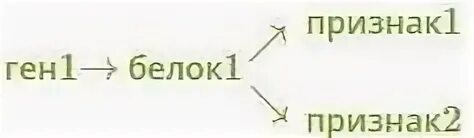 Один ген один признак