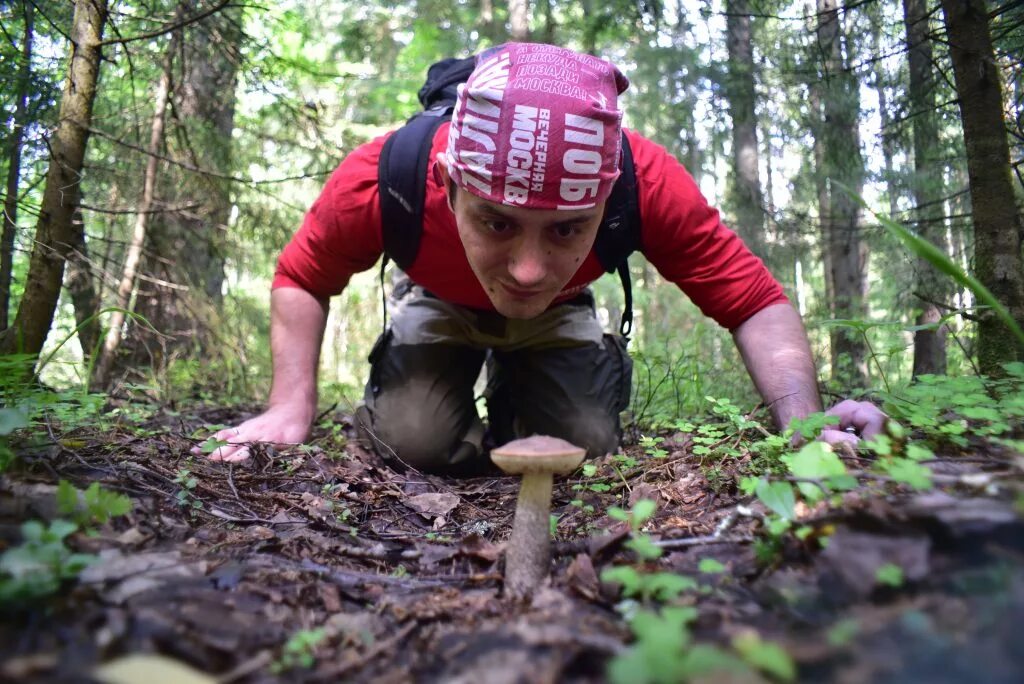 Как попасть в лес. Пища в лесу выживание. Памятка заблудившемуся в лесу. Чтобы не потеряться в лесу. Человек на фоне леса.