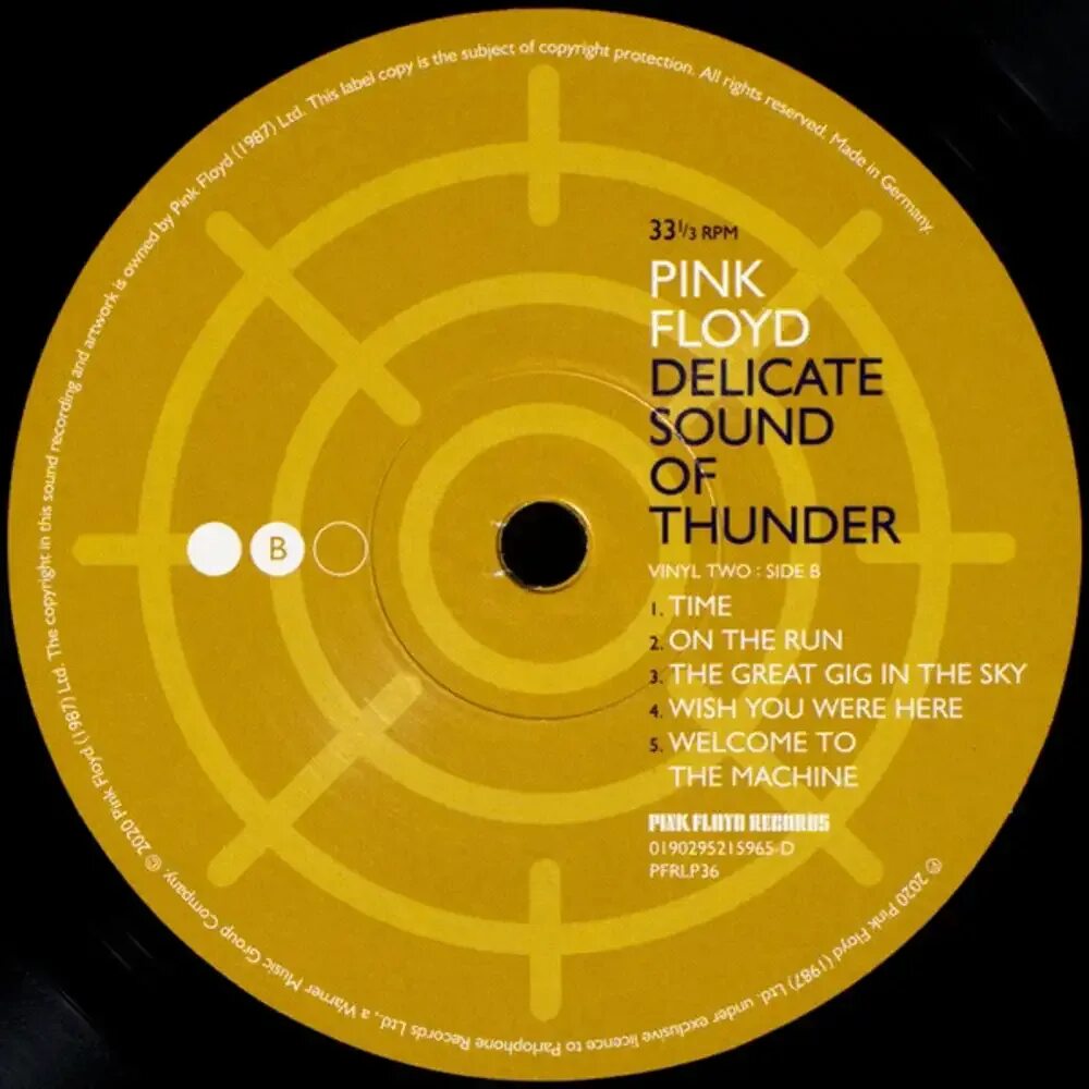 Pink floyd delicate sound of thunder 2020. Pink floyd delicate sound of thunder 1988. Pink floyd альбом delicate sound of thunder. Виниловая пластинка pink floyd delicate sound of thunder. Pink floyd delicate of thunder.