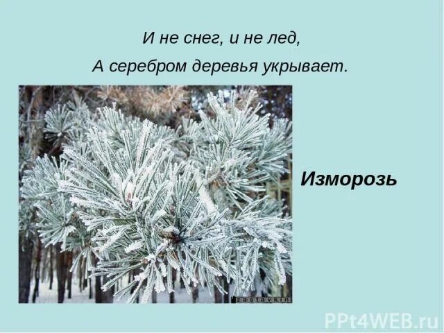 Подула зима холодом сорвала листья