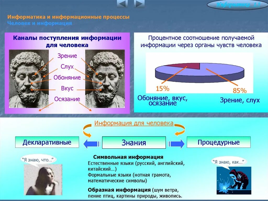 Человек получает информацию через органы. Человек и информация. информационные процессы человека. человек информация и информационные процессы. органы чувств процентное соотношение.