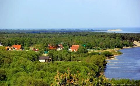 Лесное калининградская область