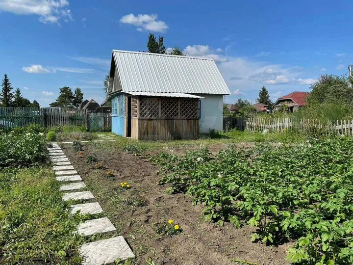 дача в шагалово. снт ранет новосибирск дача. м. чика дача. чика дача.