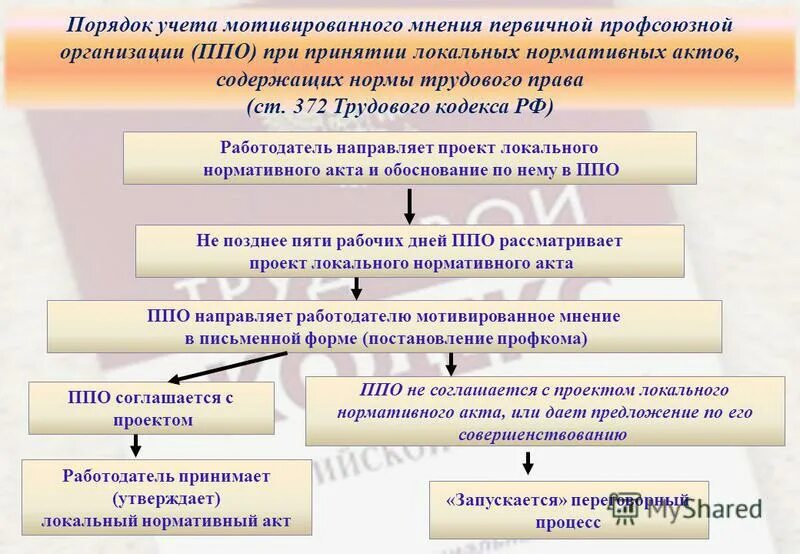 Порядок учета мнения профсоюза. Порядок учета мотивированного мнения профсоюза организации. Порядок принятия локальных нормативных актов. Схема учета мнения профсоюза. Выборный представительный орган работников организации