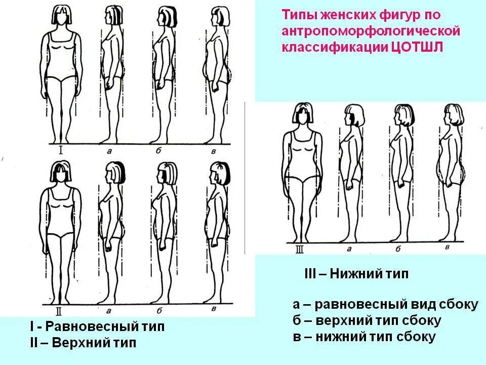 Какая может быть фигура описание. Классификация телосложения женщин. Тип фигуры и телосложения.. Телосложение женщины схема. Типы женских фигур.