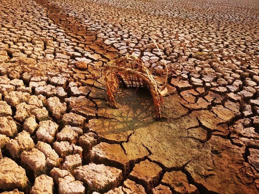 Атмосферная засуха. Засуха. Засуха в России. Известные засухи.