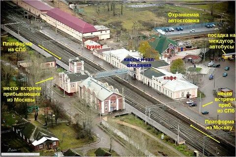 Волочек бологое