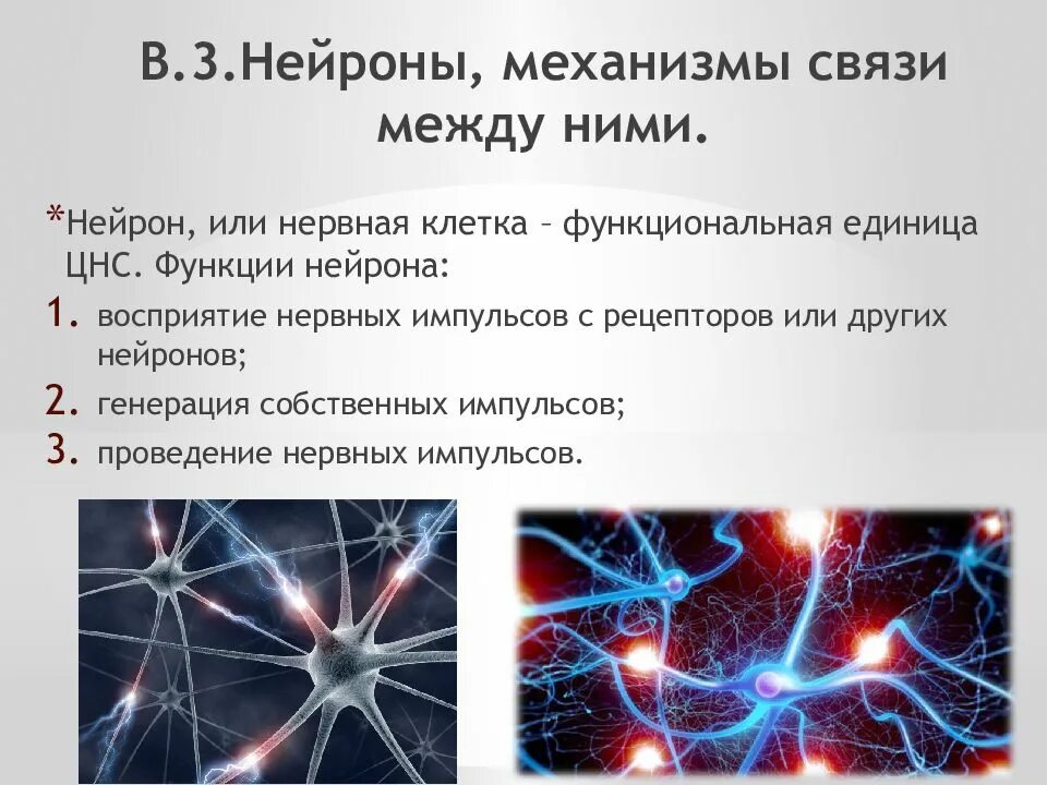 Нервные связи функции. Нейрон. Нейронные механизмы. Нейронные взаимосвязи. Нейроны и нейронные связи.