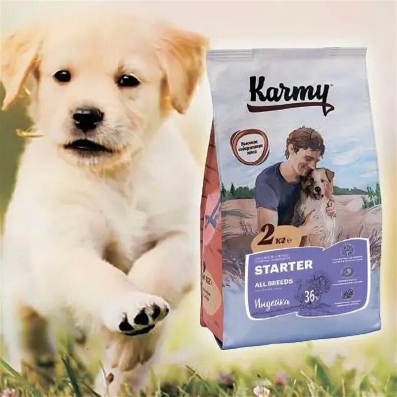 Корм для собак 3 месяца. Karmy стартер индейка - 15 кг. karmy starter корм для щенков. karmy стартер индейка - 2 кг. karmy стартер индейка 14кг..