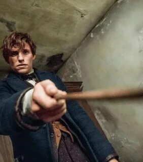Potter reddit