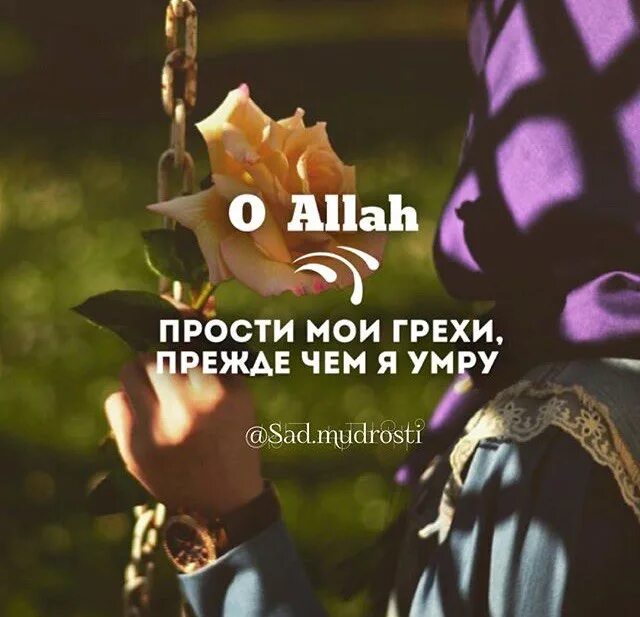 Ты не простишь мои грехи. Ты не простишь мои грехи. Цитаты из библии. Прости меня господи за грехи. Прощение картинки.