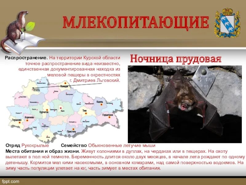 Распространение млекопитающих