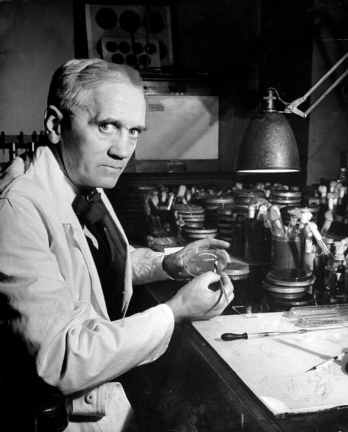 Alexander fleming discovered penicillin