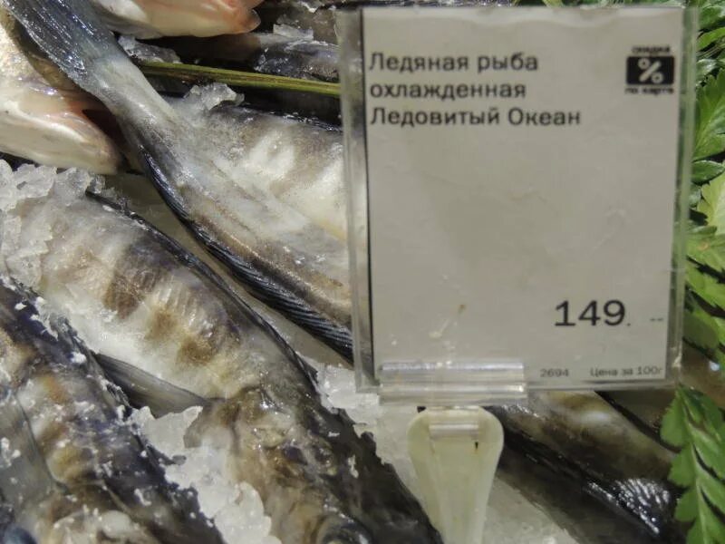 Признаки по которым выбирают охлажденную рыбу