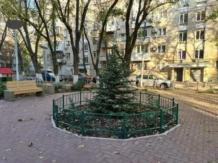 Найди ростов