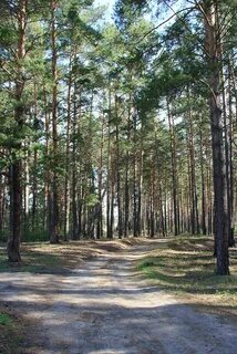 Новоегорьевское алтайский край