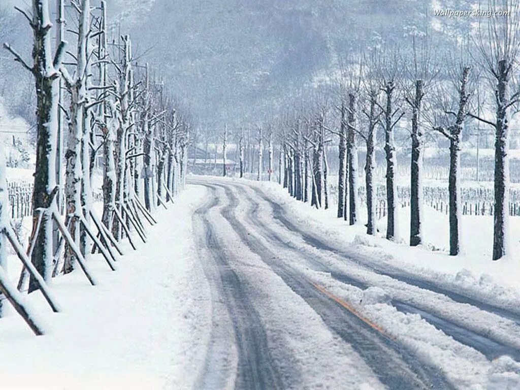 Пришла пора оттепели снег. Зимняя дорога иллюстрация. Заснеженная дорога картина. Зимняя дорога в лесу живопись. Зима идет зиме дорогу.