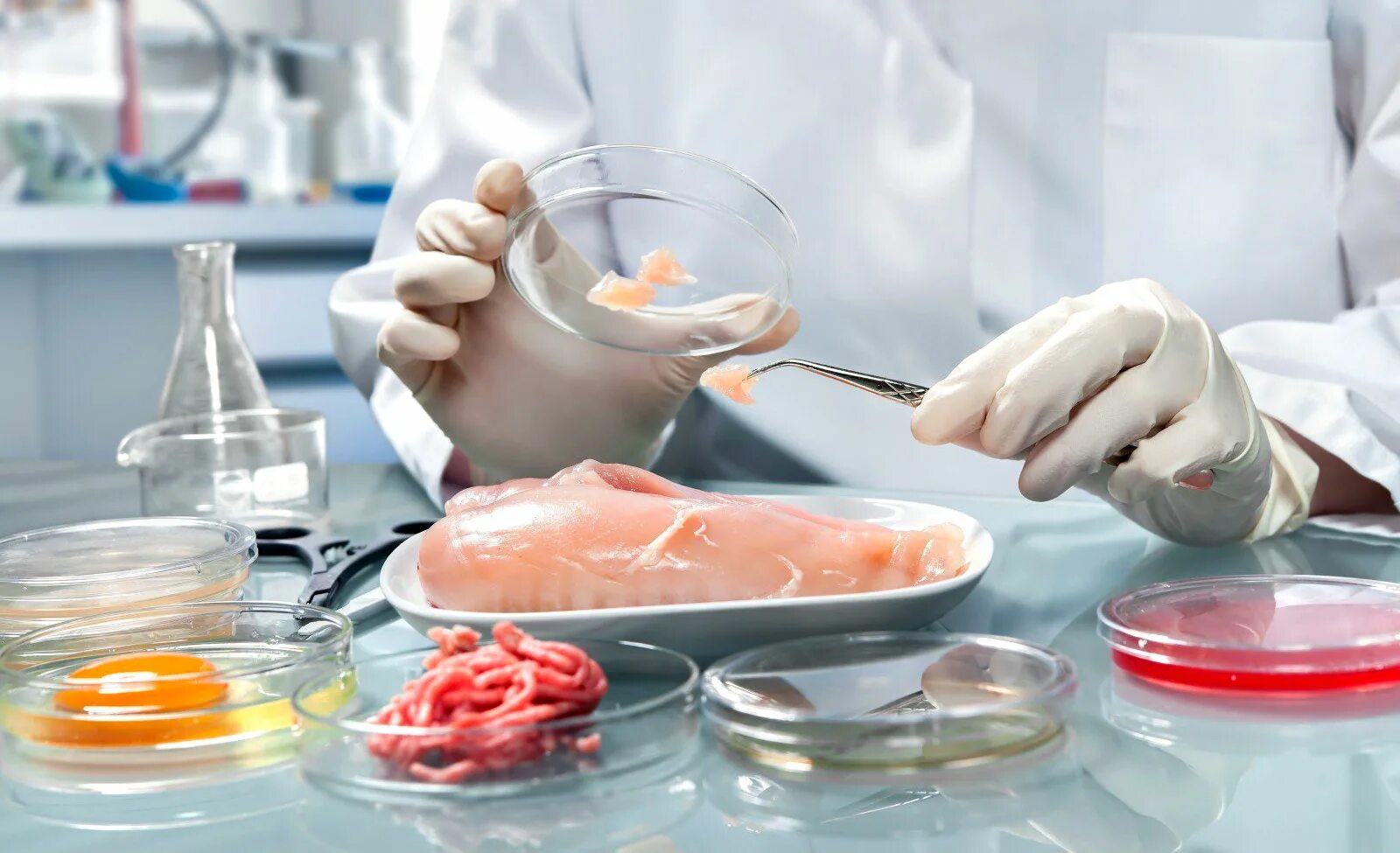 Испытания пищевой продукции. Санитарная экспертиза пищевых продуктов. Санитарно микробиологическое исследование мяса и мясных продуктов. Лаборатория пищевых продуктов. Ветеринарно-санитарная экспертиза.
