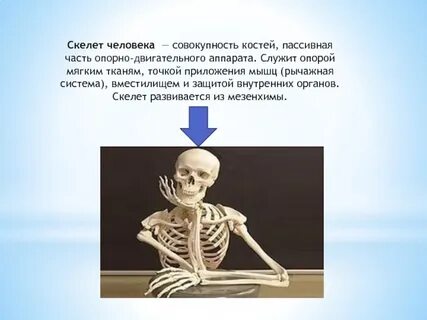 Скелет водорода
