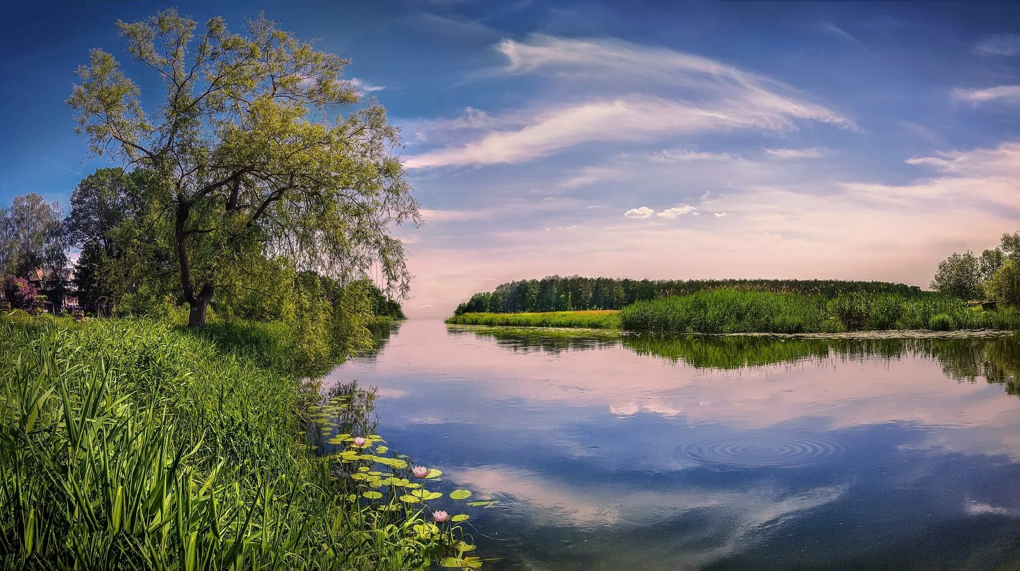 Май на пруду. Пейзаж. Красивая природа река. Речной пейзаж. Пейзаж с рекой.