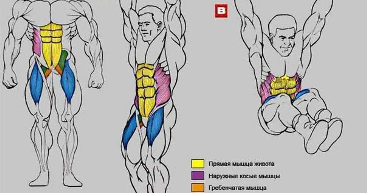Подъем ног в висе мышцы. Мышцы пресса на турнике. Упражнения для пресса в висе. Упражнения для пресса на турнике. Упражнения на пресс на турнике.