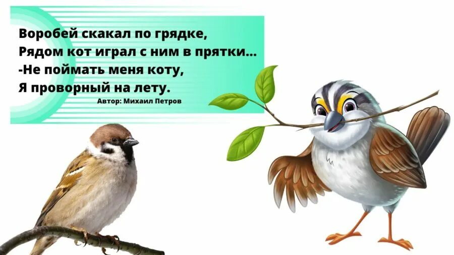 Воробышки и автомобиль. Игра воробушки и автомобиль. Воробышки и автомобиль подвижная игра младшая группа. Игра воробушки и кот.