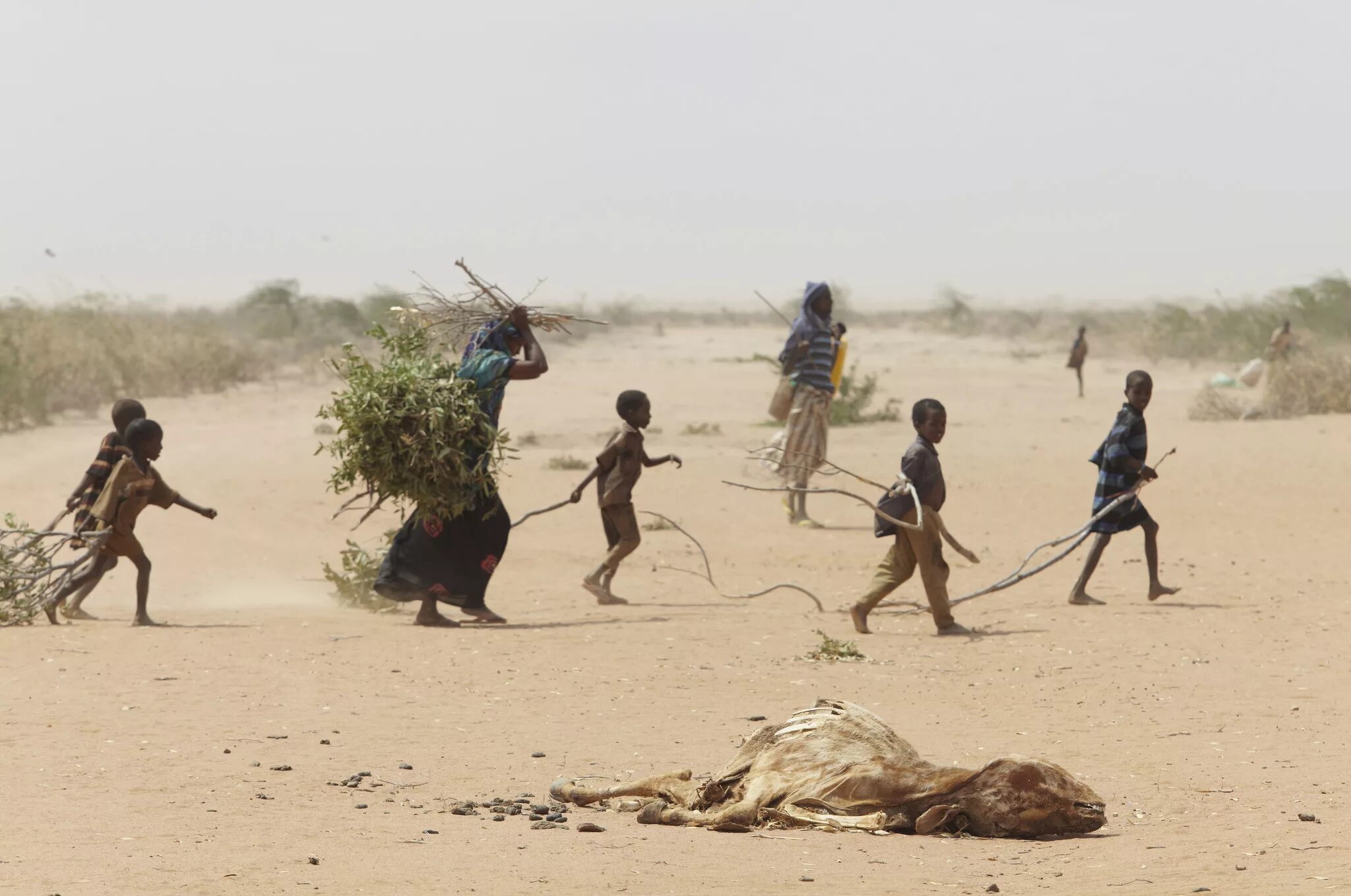 Проблемы восточной африки. Засуха и голод в Восточной Африке 2011. Голод в Восточной Африке 2011. Засуха 2011 года в Восточной Африке.