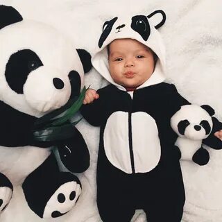 Panda 4 baby