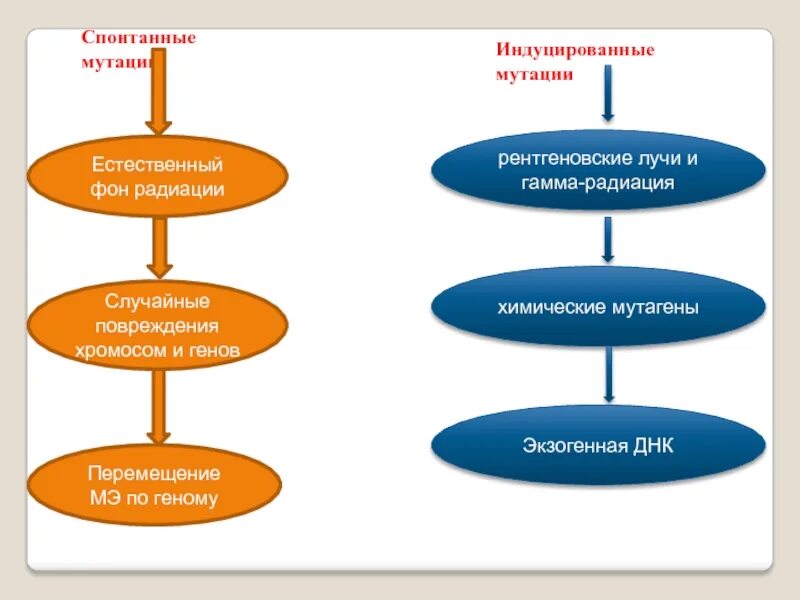 Причины и механизмы возникновения хромосомных мутаций. Мутация определение биология. Спонтанные мутации примеры. Мутагенез характеристика. Инлуцированнве муауии.