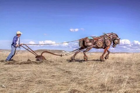 Плуг животные