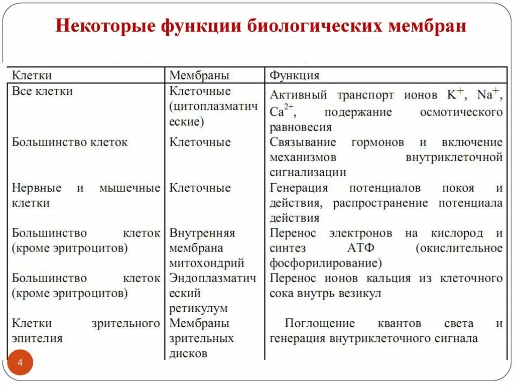 Некоторые функции могут быть. Функции биологических мембран. Функции биологической мембраны биофизика. Функции в биологии. Таблица некоторые функции биологических мембран.