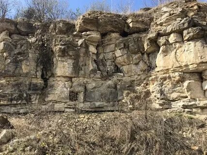 Гжельский стратотип