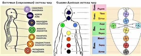 Чакры животных