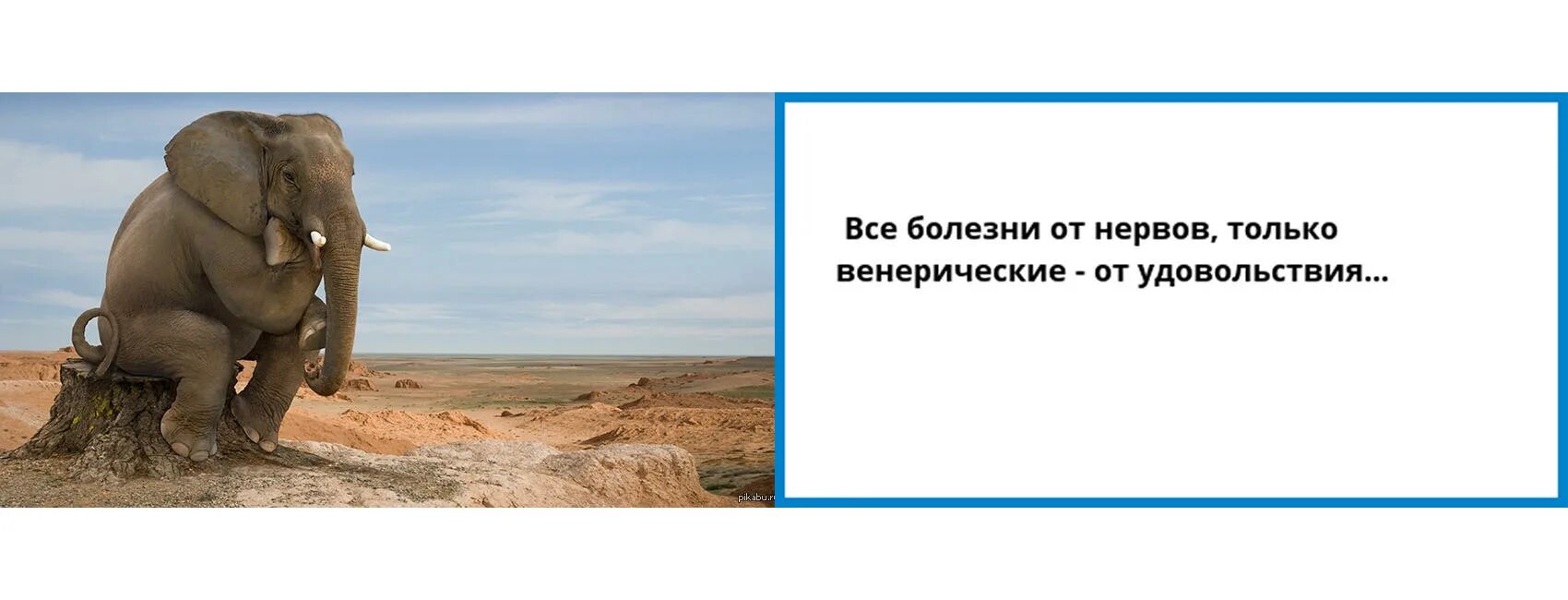 Все болезни от нервов. Всем болезни от нервов и только. Поговорка все болезни от нервов. Все болезни от нервов и только одна от удовольствия.