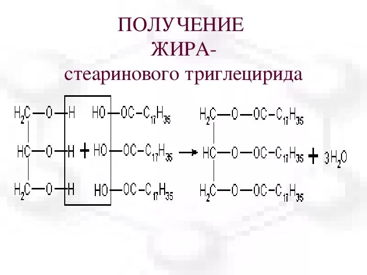 Реакция образования жира. Реакция получения жиров. Схема образования жиров. Уравнение реакции получения жира. Получение жиров химия.