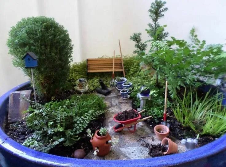 Сад в горшке фото Fa Iry Meubles et accessoires #diyGnomejardin Indoor fairy gardens, Fairy garden