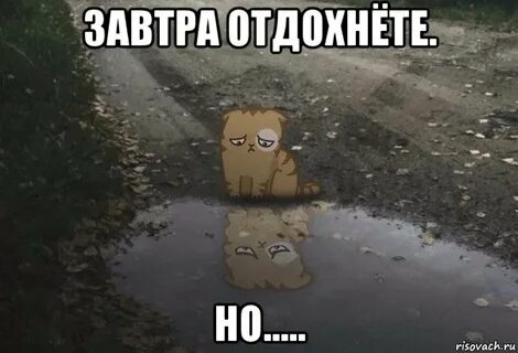 Про 25