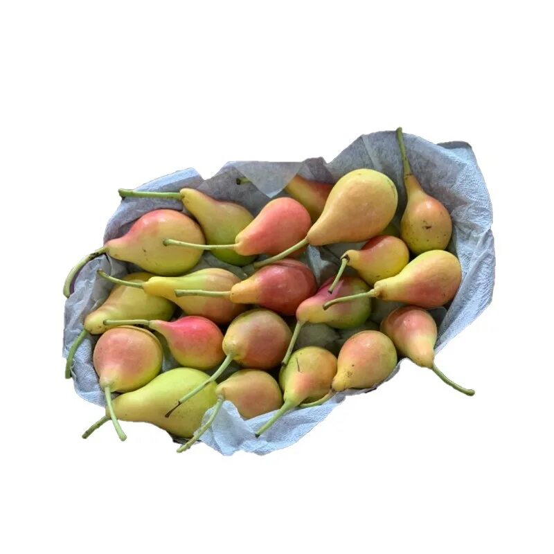 Груша новый урожай. Мини груша. Груша бартлетт. Зеленая груша камень. Груша искусственная.