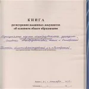 Журнал выдачи свидетельств об обучении. Журнал выдачи свидетельства об обучении в школе. Книга регистрации выдачи свидетельств. Журнал учета свидетельств об обучении. Книга регистрации выданных документов.