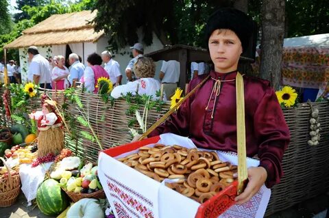 Урожай кубани