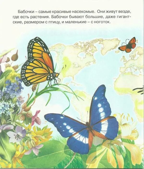 Цветок бабочка рассказ. Стихотворение про бабочку. Стих про бабочку для детей. Стишки про бабочку для детей.
