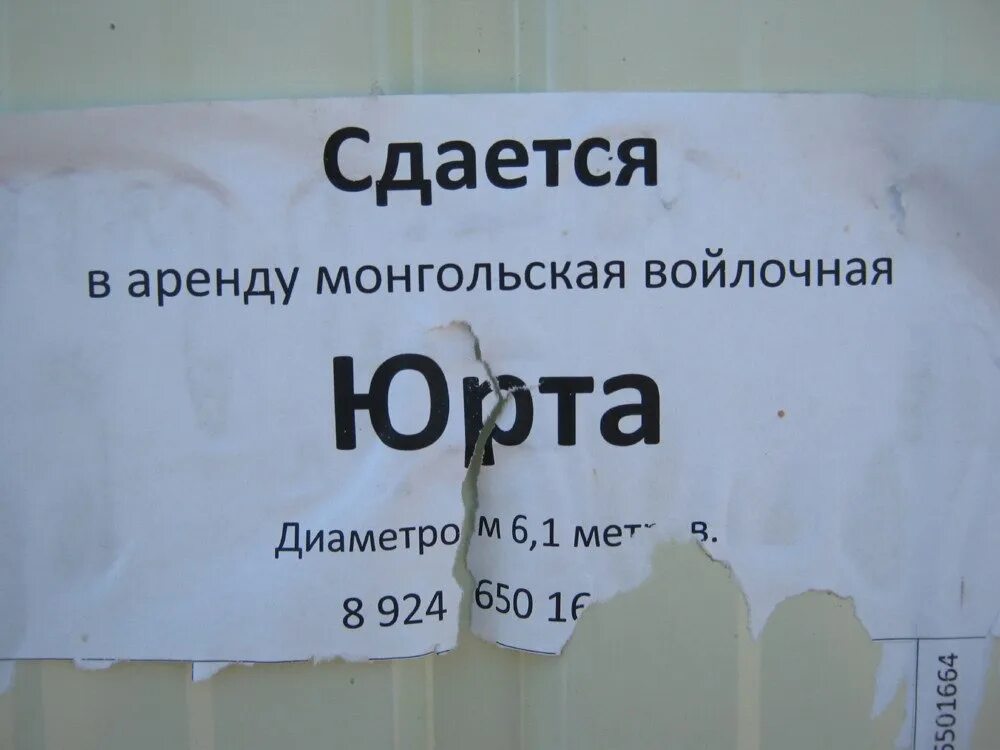 Как называется тот кто сдает в аренду