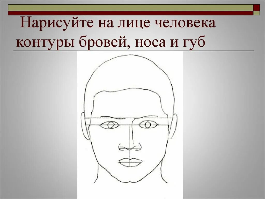 Портрет человека 3 класс изо. Конструкция головы человека. Лицо человека рисунок. Изображение головы человека в пространстве рисунок. Конструкция и пропорции головы человека.