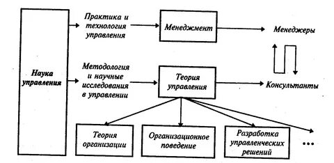 Структура и системы организации теория организации